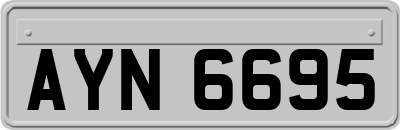 AYN6695