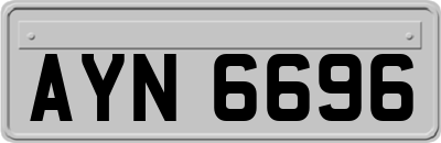 AYN6696