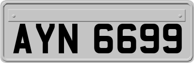 AYN6699