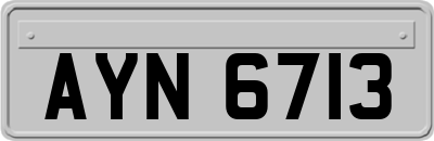 AYN6713