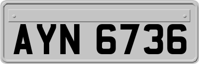 AYN6736