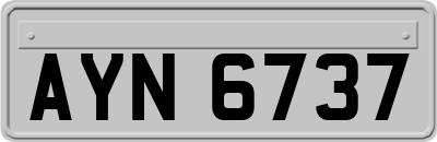 AYN6737