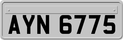 AYN6775