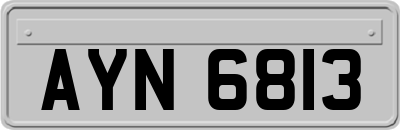 AYN6813