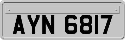 AYN6817