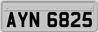AYN6825