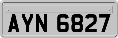 AYN6827