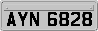 AYN6828