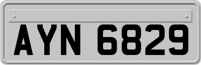 AYN6829