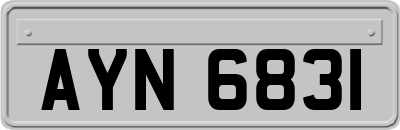 AYN6831