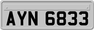 AYN6833
