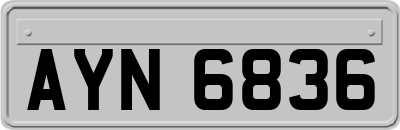 AYN6836