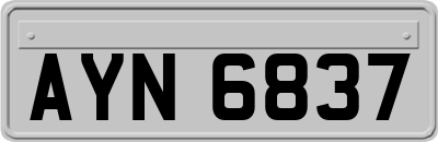 AYN6837