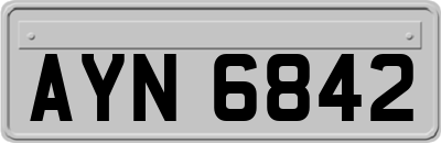 AYN6842
