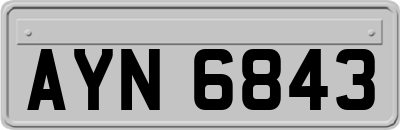 AYN6843