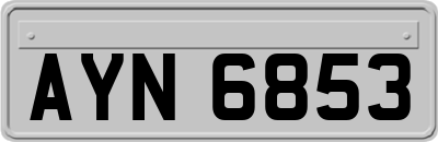 AYN6853