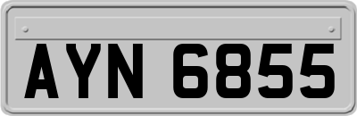 AYN6855