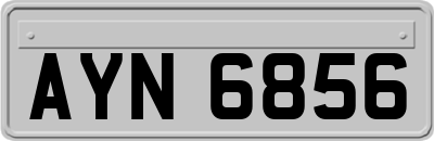 AYN6856