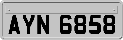 AYN6858