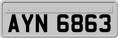 AYN6863