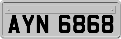 AYN6868
