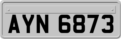 AYN6873