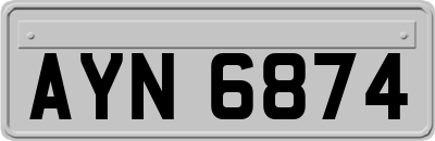 AYN6874