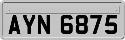 AYN6875