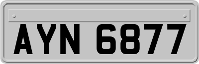 AYN6877
