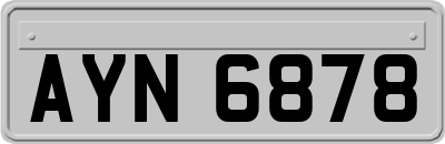AYN6878