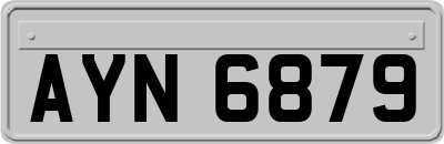 AYN6879