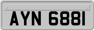 AYN6881
