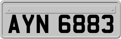 AYN6883