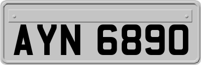 AYN6890