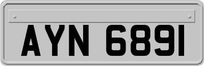 AYN6891