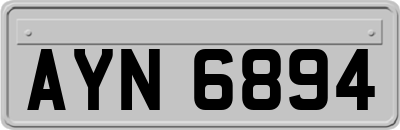 AYN6894