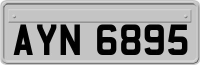 AYN6895