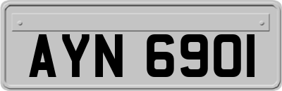 AYN6901