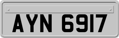AYN6917