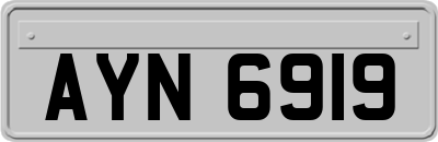 AYN6919