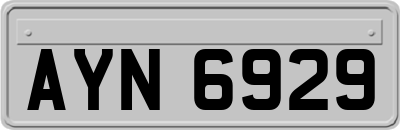 AYN6929