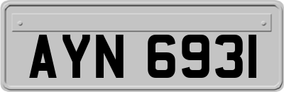 AYN6931