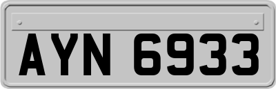 AYN6933