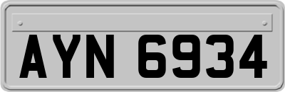 AYN6934