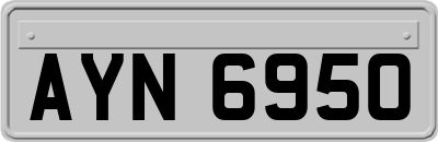 AYN6950