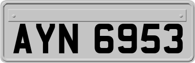 AYN6953