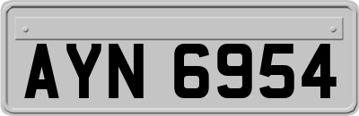 AYN6954
