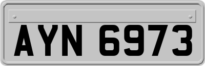 AYN6973