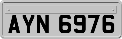 AYN6976