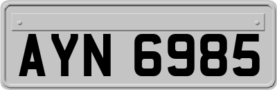 AYN6985